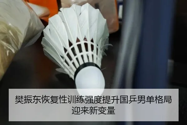 樊振东恢复性训练强度提升国乒男单格局迎来新变量（xingkong）